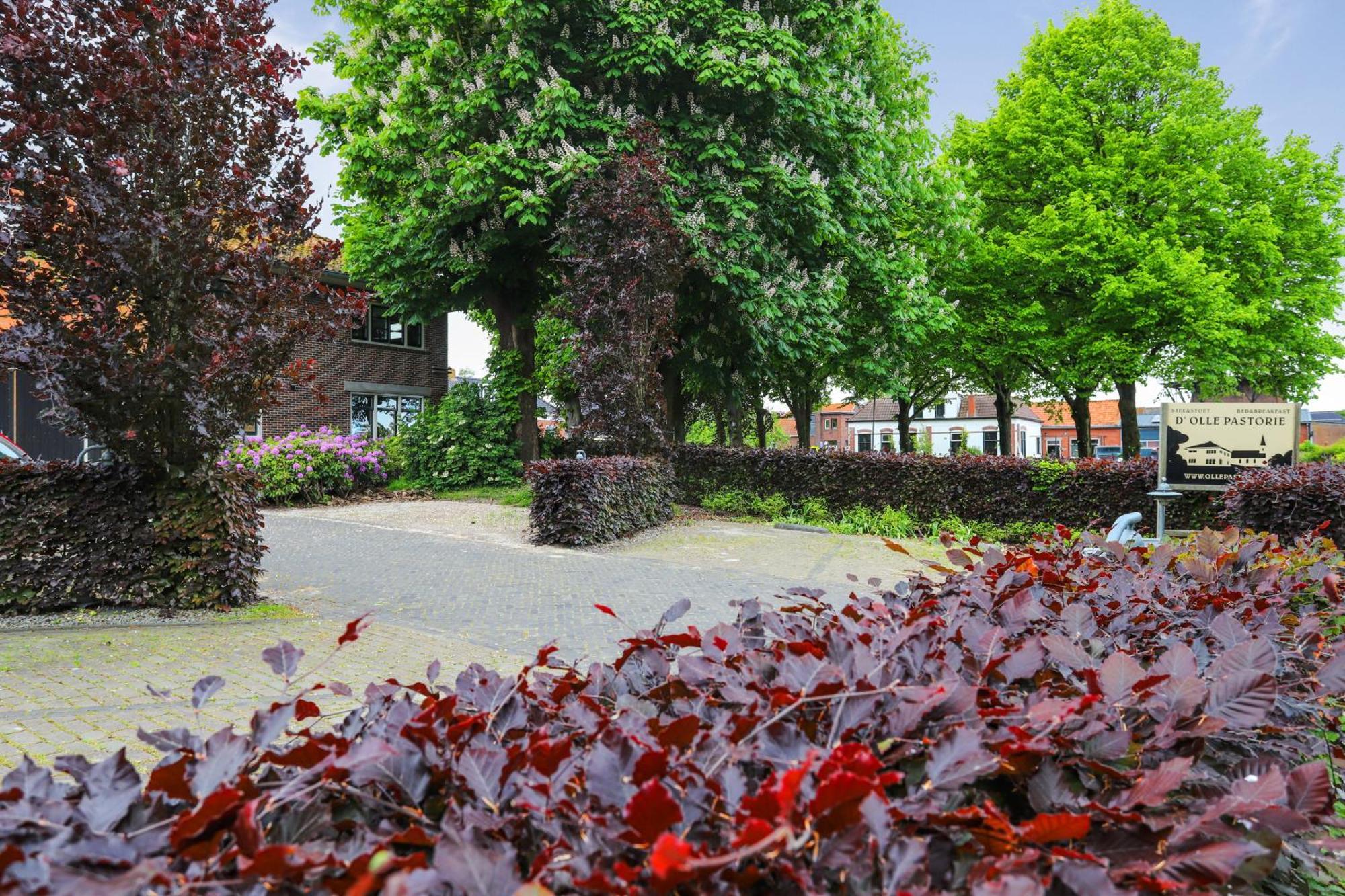 B&B - Sauna D'Olle Pastorie Vierhuizen 外观 照片